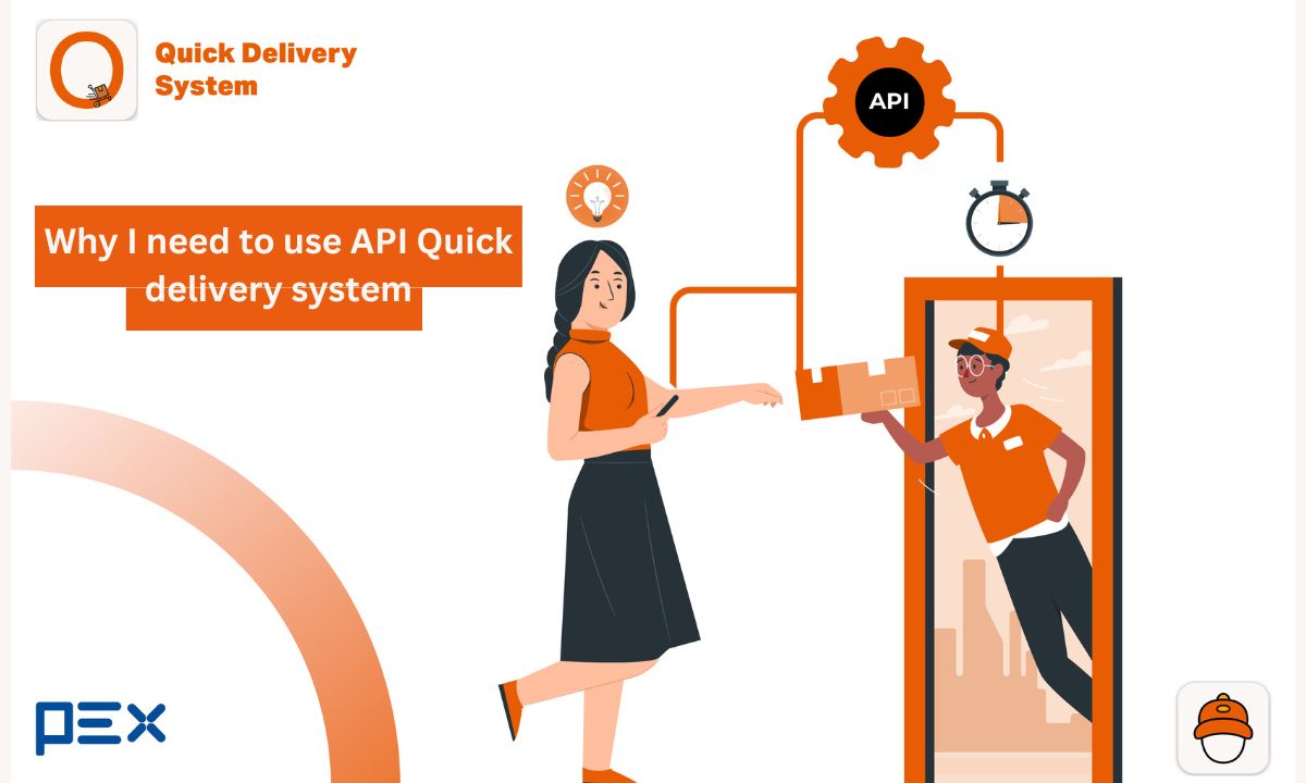 Why I need to use API Quick delivery system